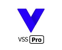 VIVOTEK VSS Professional - kamerová licence
