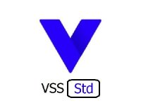 VIVOTEK VSS Standard - kamerová licence